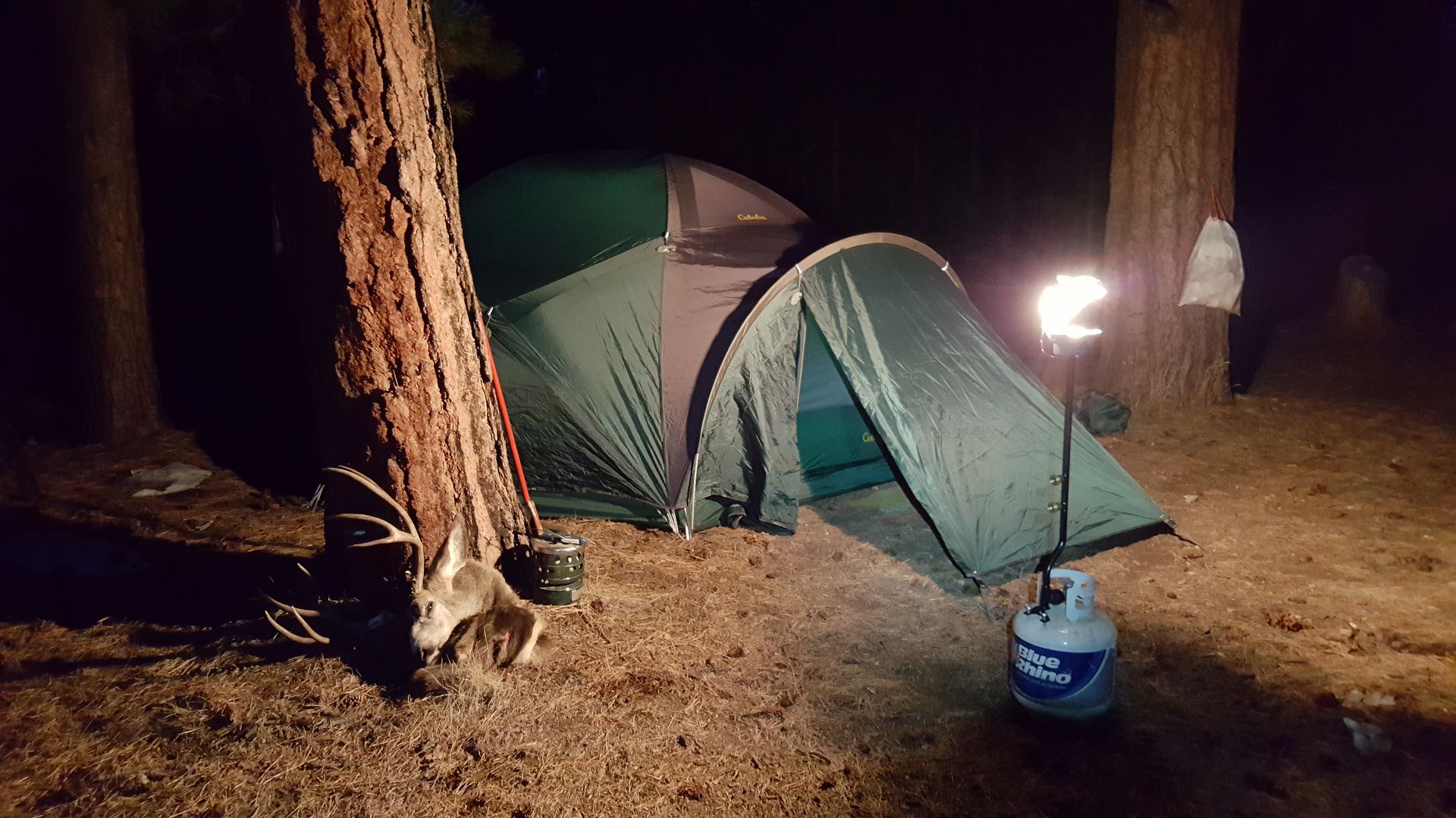 Cabelas Geodesic Tents Instinct worth it? Other Hunting Gear Discussion